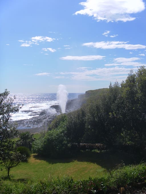 Little Blow Hole, a short stroll along our headland