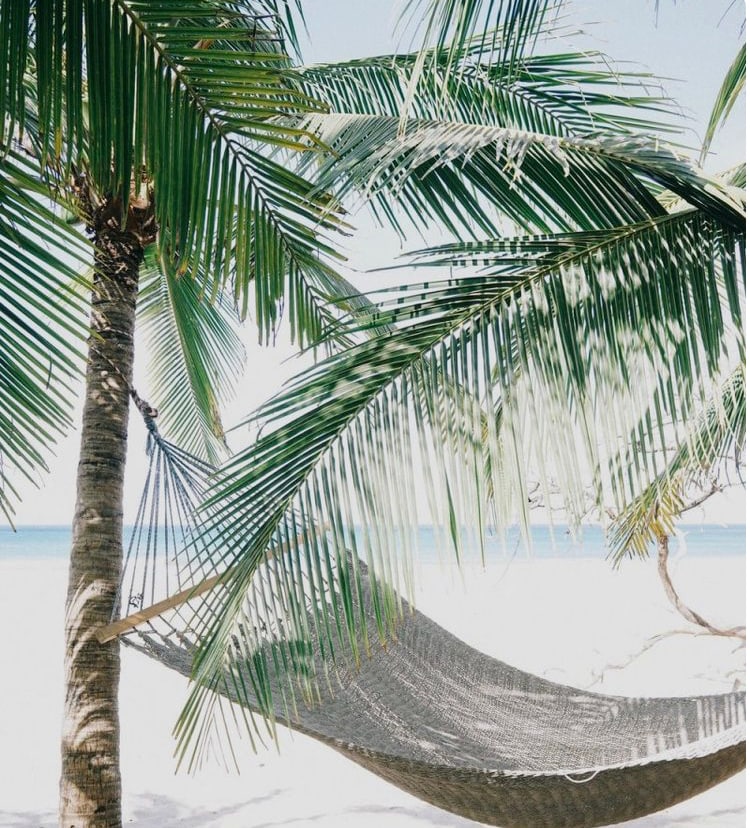 A woven hammock is suspended between two palm trees, gently swaying under the lush green fronds. The beach, visible in the background, features soft white sand and glistening turquoise waters that stretch towards the horizon.