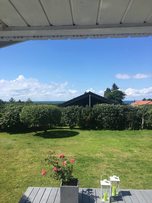 Udsigten fra overdækket terrasse