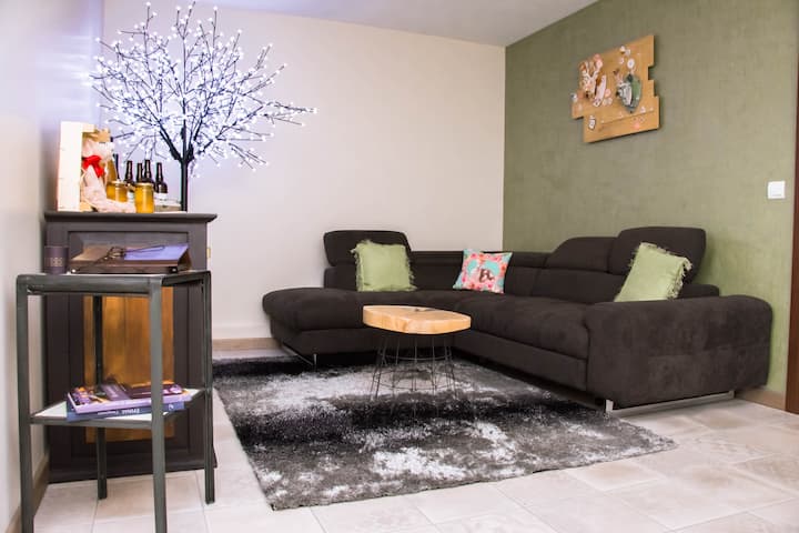 Appartement Cosy Et Chaleureux - Épinal
