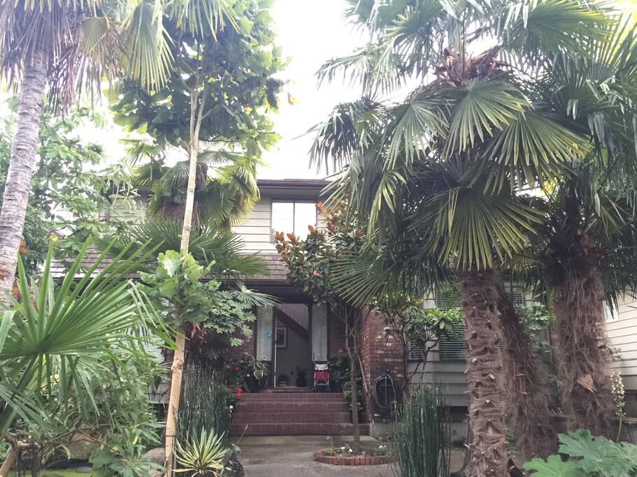 Infront of the house