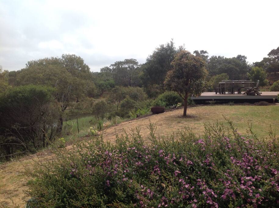 The creek & surrounds has fabulous birdlife - swans, wrens, honey eaters, magpies ...and is great for swimming & canoeing.