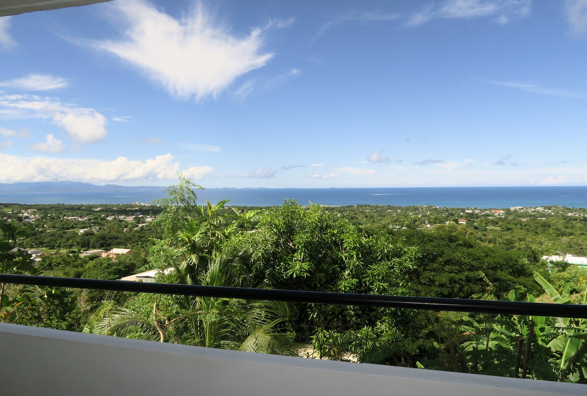 A panoramic view of the Caribbean and Atlantic Oceans is captured from the balcony. Lush greenery frames the foreground, while gentle clouds dot the expansive blue sky. The distant coastline is visible, enhancing the serene landscape.