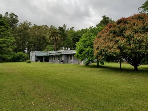 Las Margaritas