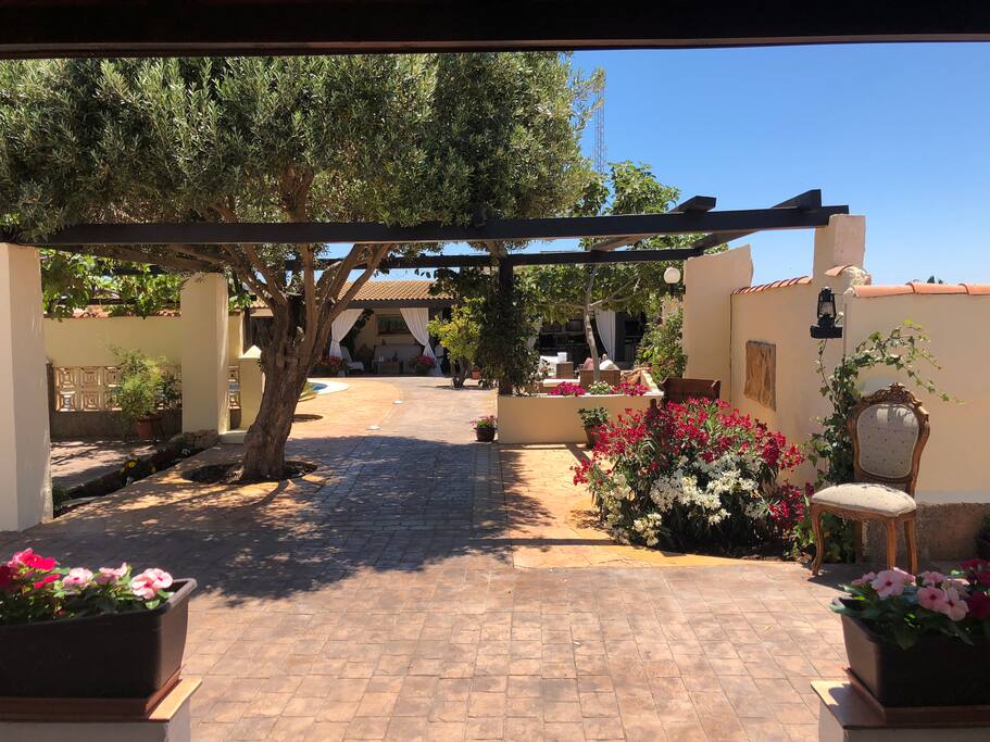 View from Finca to garden.