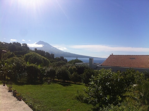 Summer House on a Farm (Garden & BBQ)