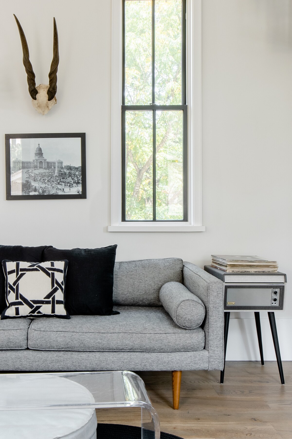 The Bird Nest