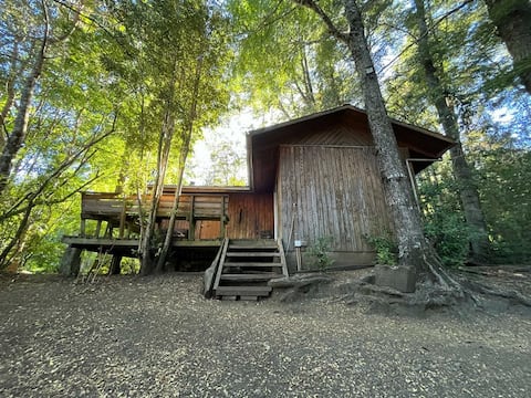 Cabin surrounded by nature and tranquility