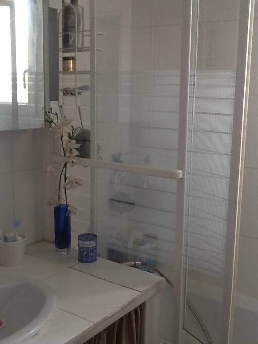 salle de bains avec baignoire, a partager entre les 2 chambres