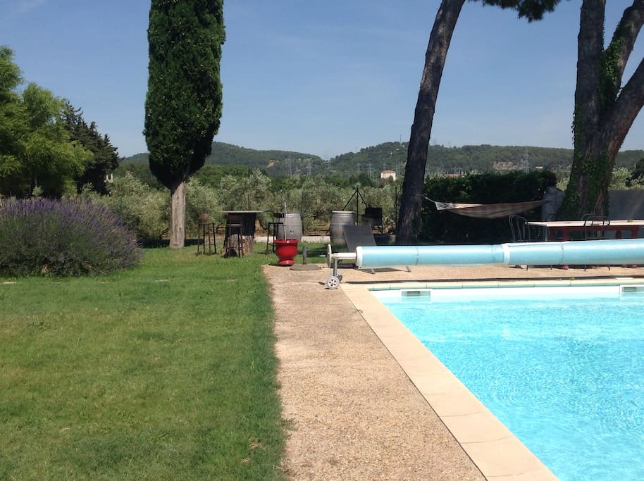 Vue sur le champ d'oliviers et garrigue