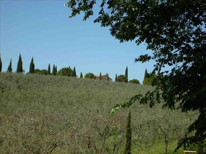 Casa Il Frantoio - Montefalco