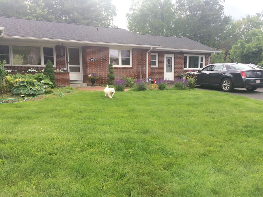 Front of house (your private entrance on Right side)