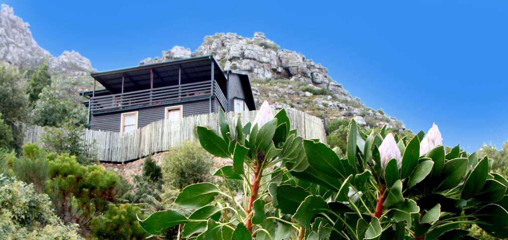 Mount Elsewhere Mountain Retreat gallery image 2