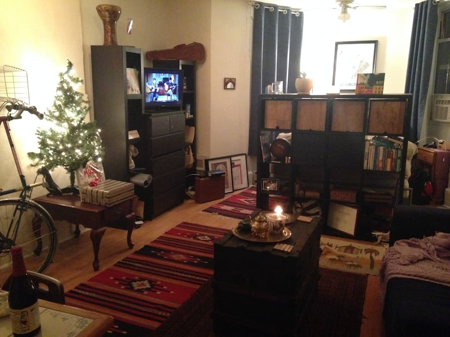 Had a Charlie Brown Christmas tree up (with divider separating bed from living room/kitchen area) Cozy, right?!
