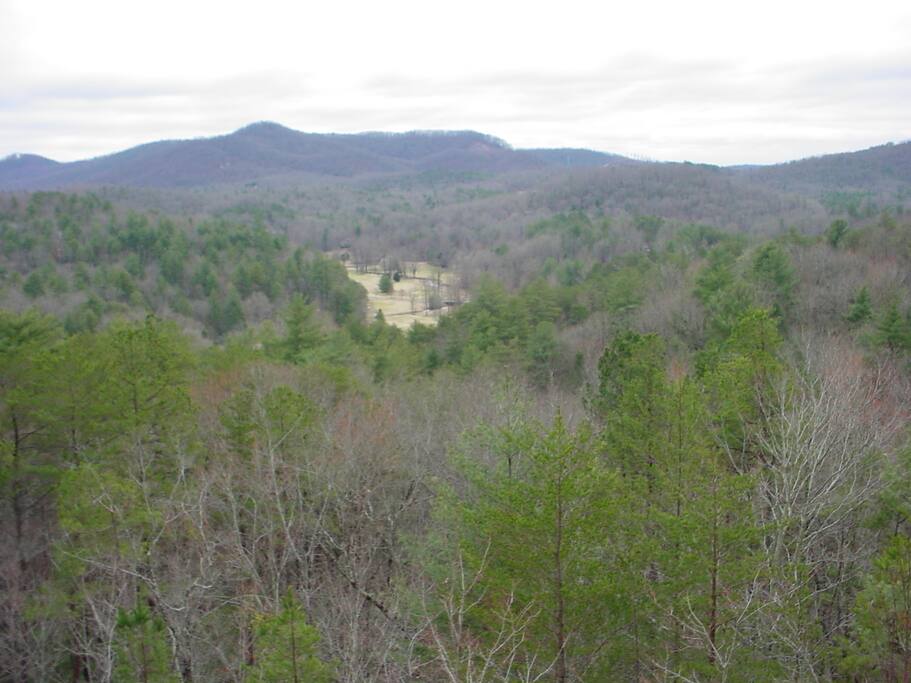 View from deck