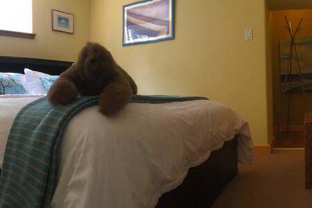 116 Patricia St. Suite (Basement Suite Apartment)