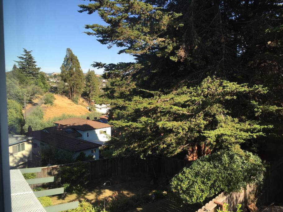 View From Bedroom