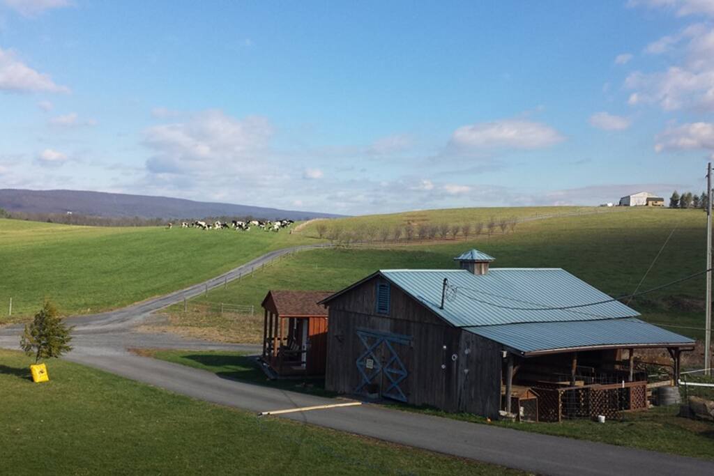 View and Setting are Farmette