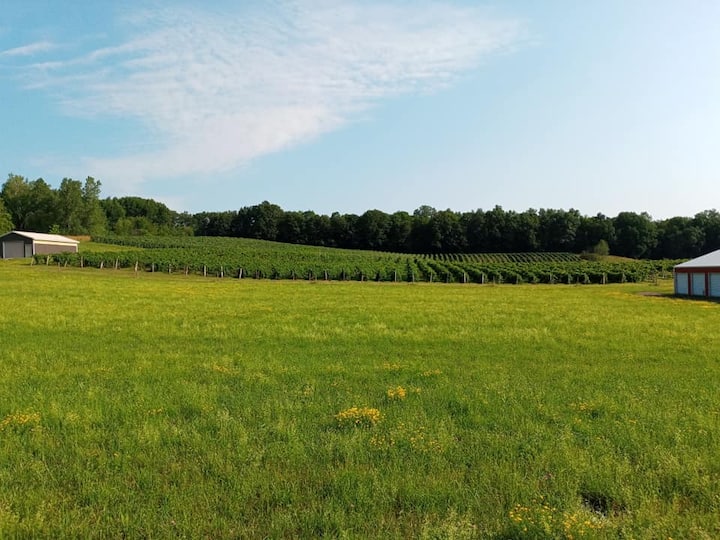 Pulteney Ferienwohnungen & Unterkünfte New York, Vereinigte Staaten