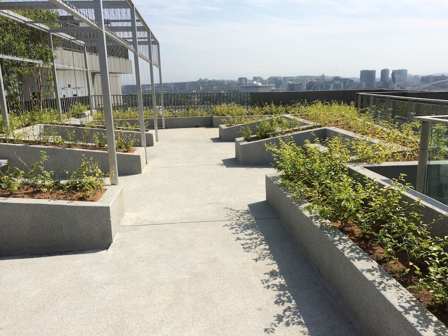 skygarden with bbq area