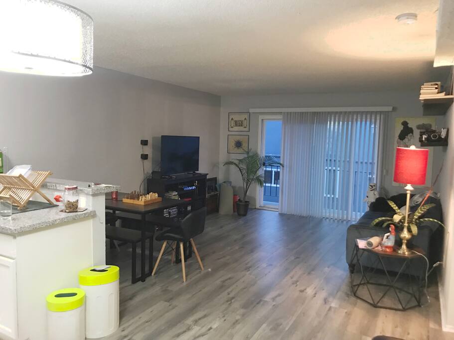 Studio w/ Sofa bed