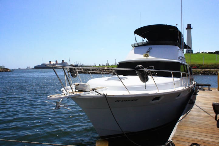 Dockside Boat & Bed, Sea Peepers