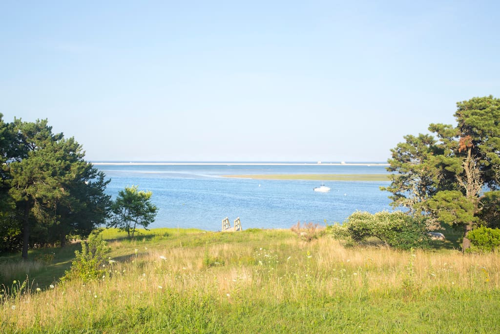 View from the Front Lawn
