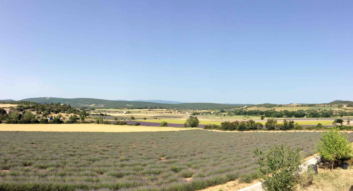 le simiane restaurant lacoste france