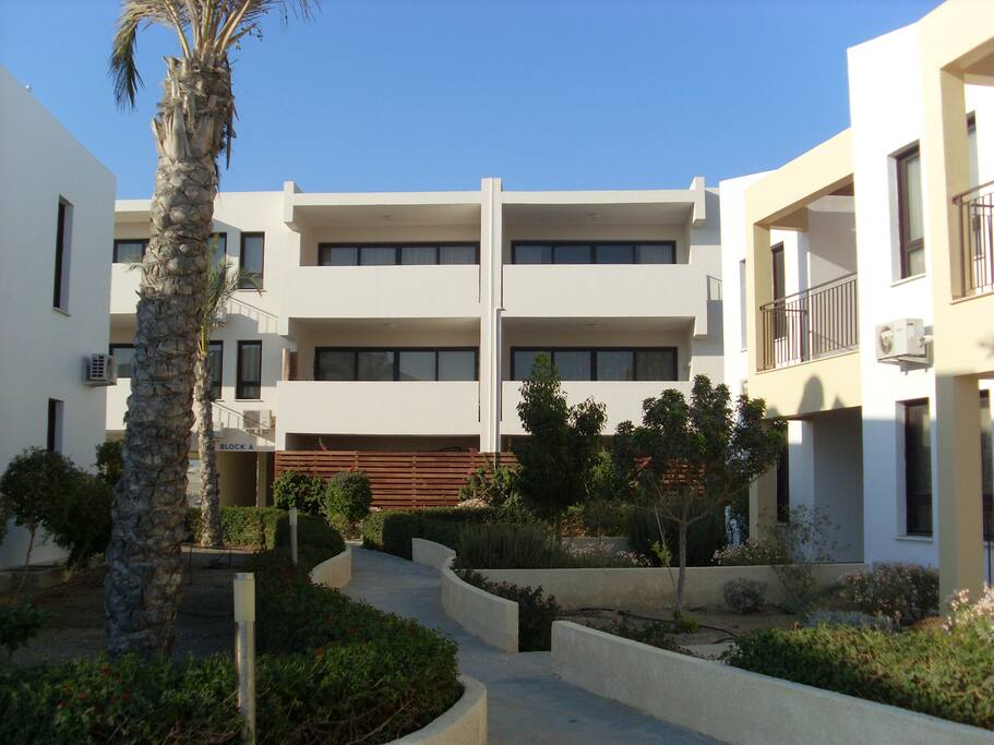 View from gardens to A block