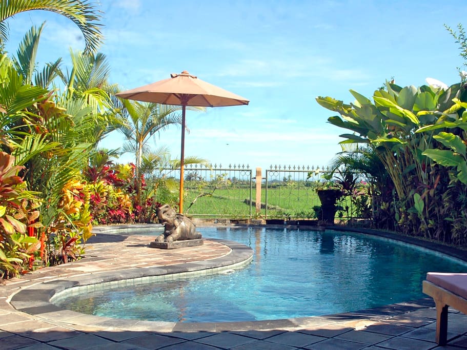 Paradise view