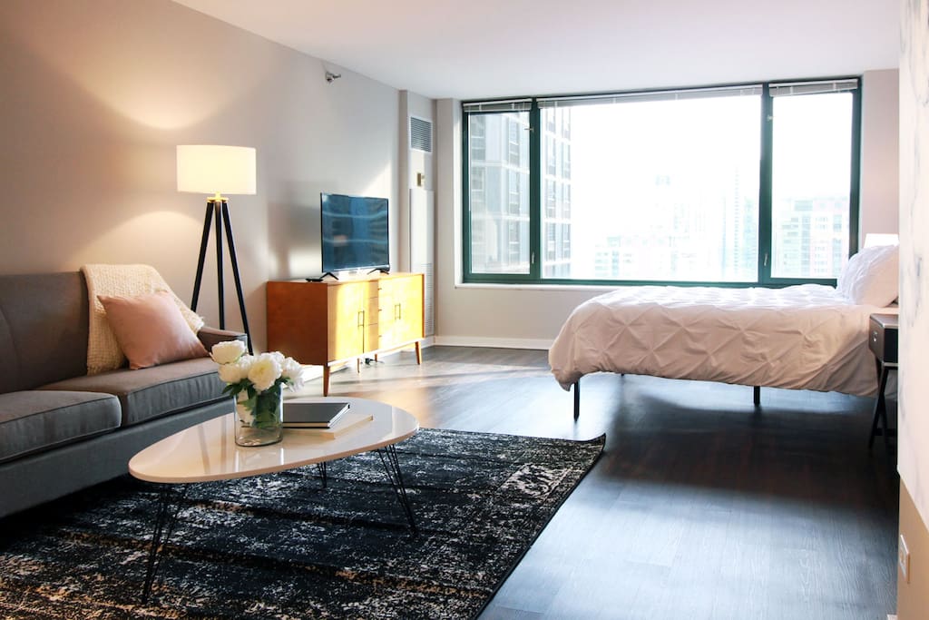 Living Room / Sleeping Area