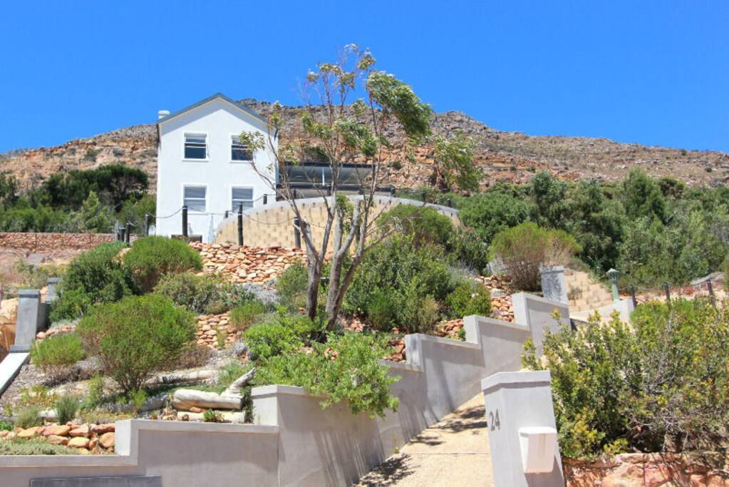 view of the house
