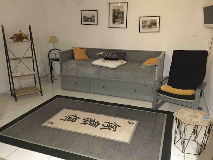Loue Studio Indépendant 27m2 Dans Maison - Castres