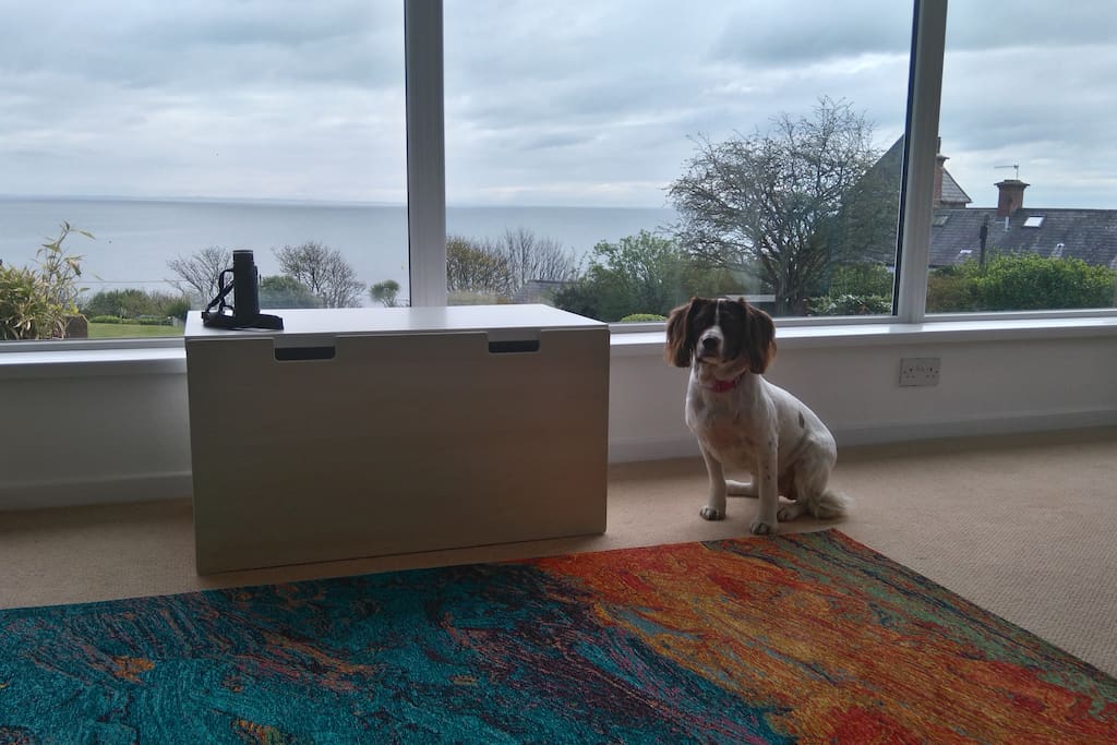View from 'stretched out on sofa', guest lounge