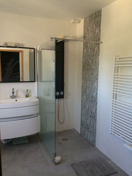 Salle de bain avec douche et baignoire.