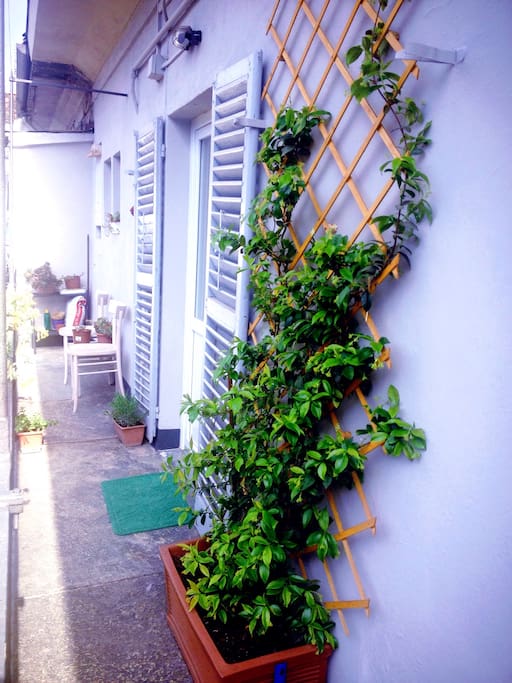 ingresso