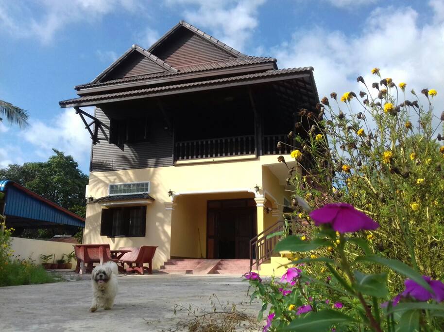 Outside view