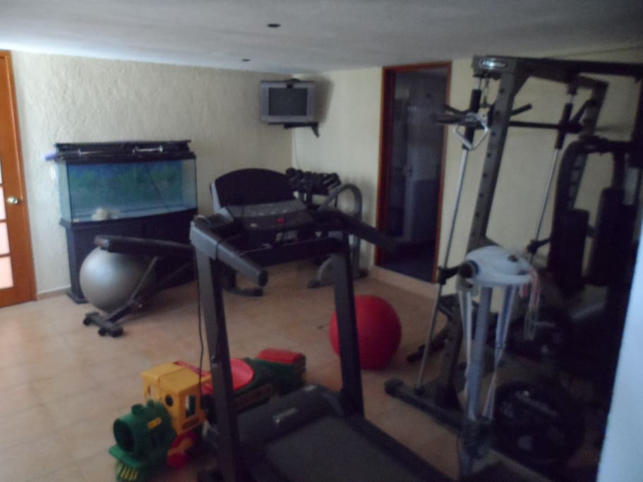 Gimnasio