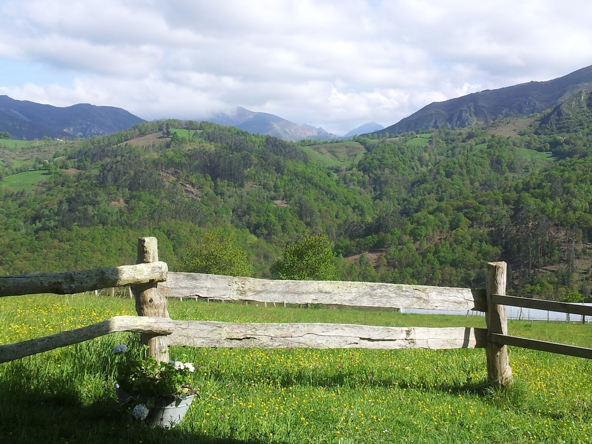 A wooden fence frames a scenic view of rolling hills covered in lush green vegetation. Mountains rise in the background under a partly cloudy sky, while a field of wildflowers provides a colorful foreground. The landscape offers a tranquil and natural setting.