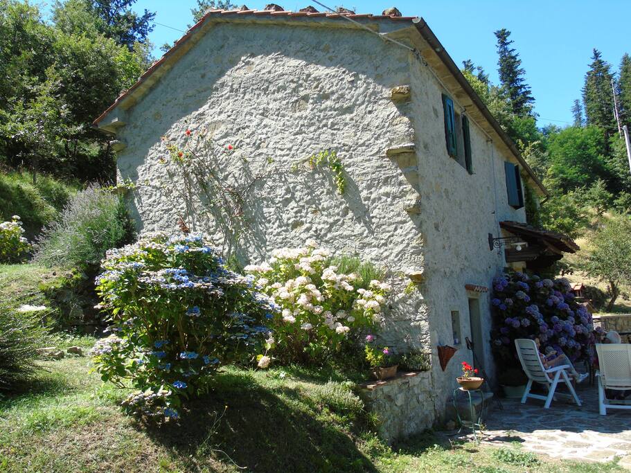 "La Casa del Monte"
