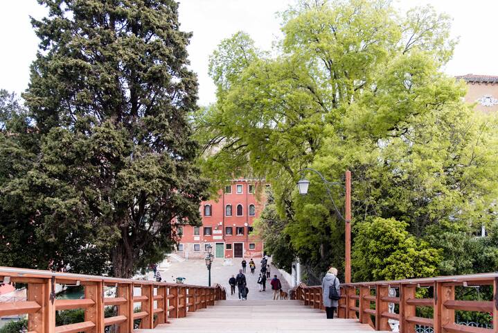 Ciliota Deluxe 027042-LOC-16239 gallery image 4