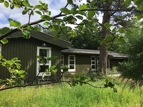 Cozy house - great nature - Just 300m to the sea.
