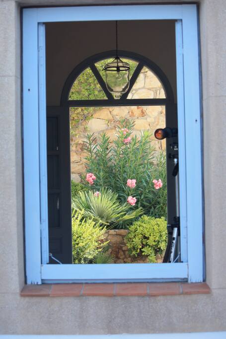 Windows To The Garden