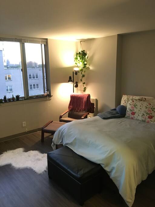 Queen sized bed. Not pictured- pull out couch.