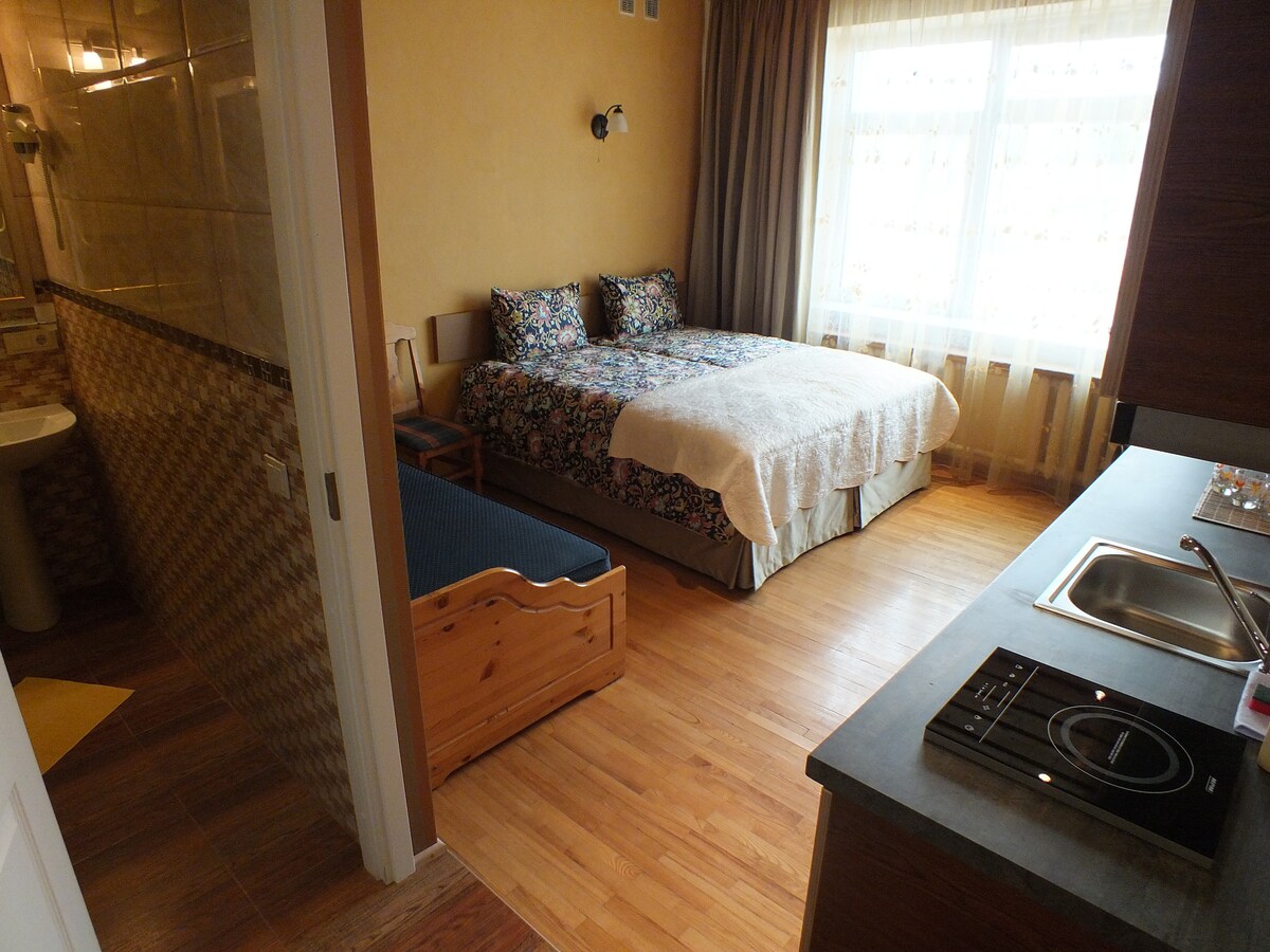 A spacious studio room features two beds adorned with colorful floral bedding. A light-colored quilt covers one bed. Natural light filters through a large window, complemented by soft curtains. A kitchenette is included, along with an en-suite bathroom visible in the background.