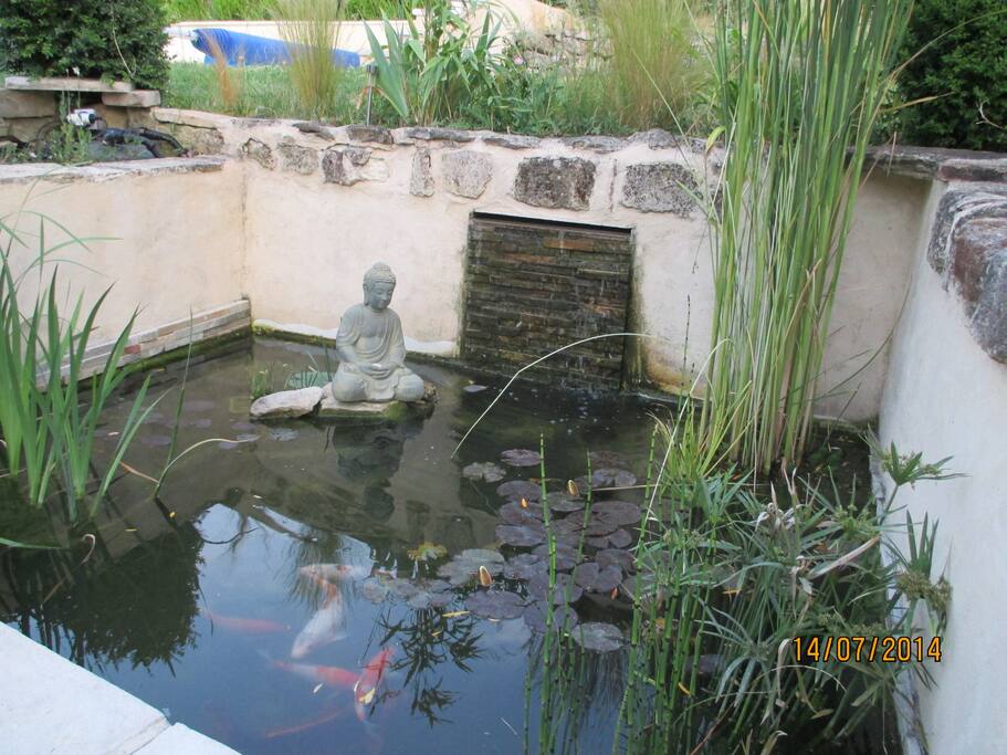 Moment Zen avec présence des carpes