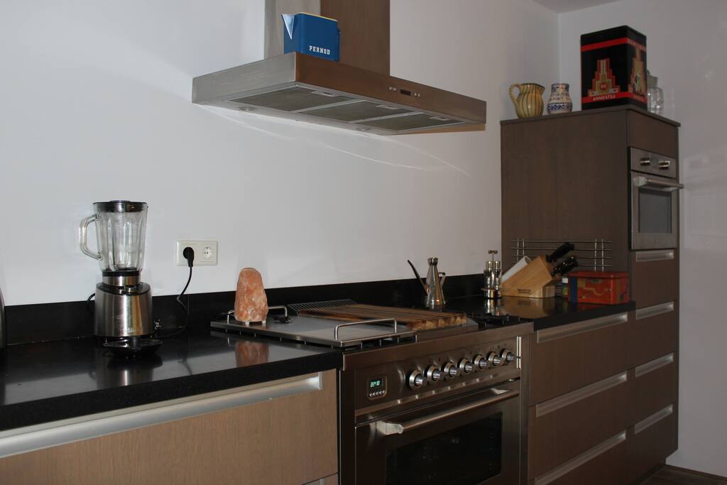 Modern open kitchen with access to garden