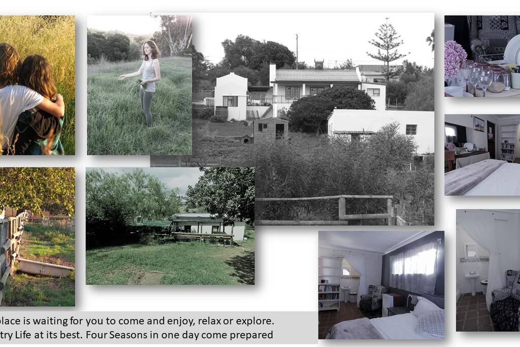 Daisy Cottage - Small holding