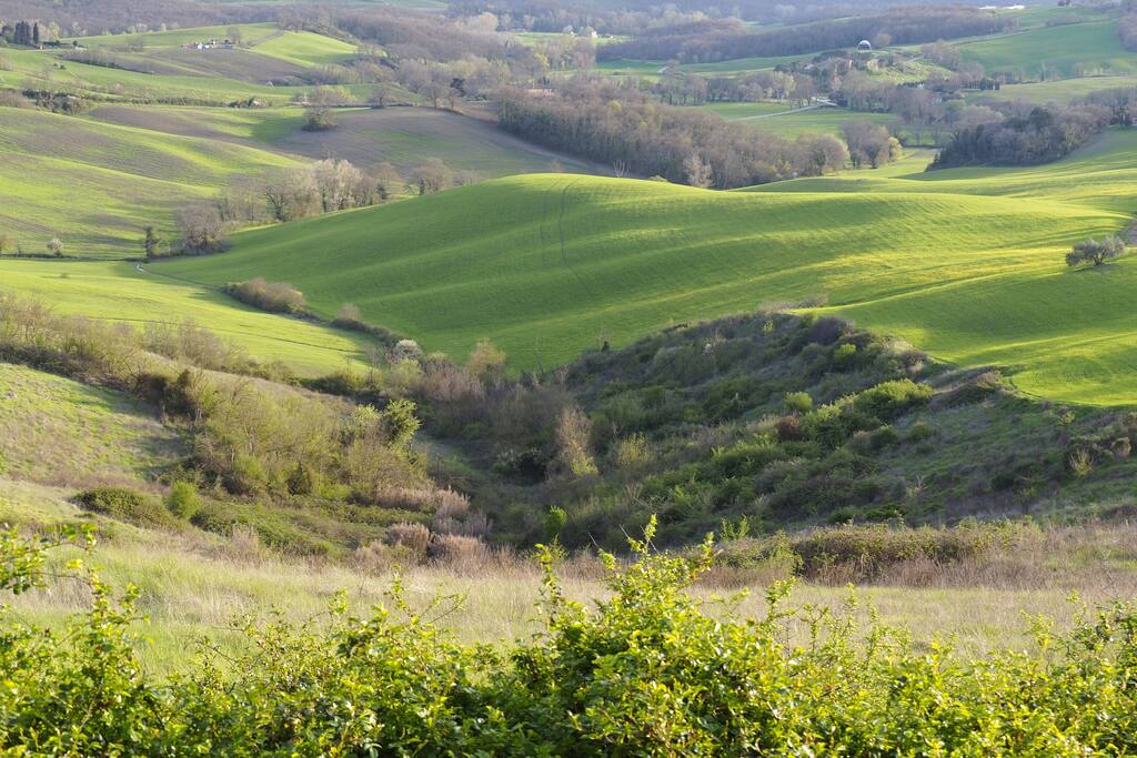 Die Landschaft