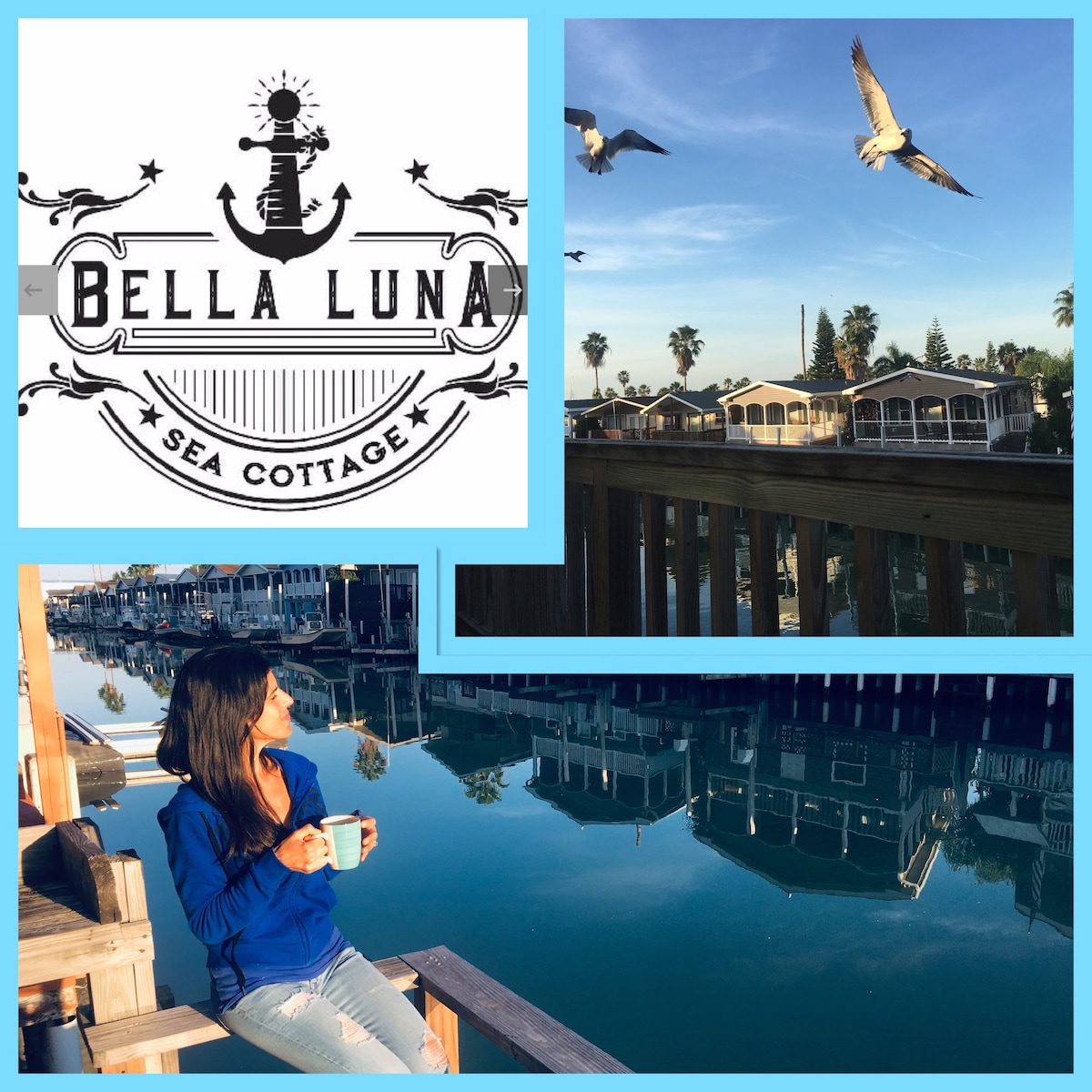 The image features a serene waterfront view at Bella Luna Sea Cottage, with calm waters reflecting nearby structures. Seagulls soar overhead, adding to the tranquil ambiance. A seated individual is seen enjoying a beverage, enhancing the peaceful environment.